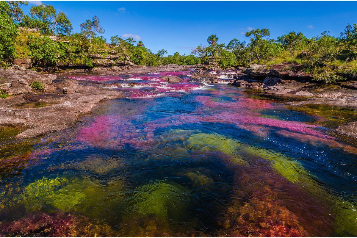 cano-cristales-ergo-reiseversicherung - 1