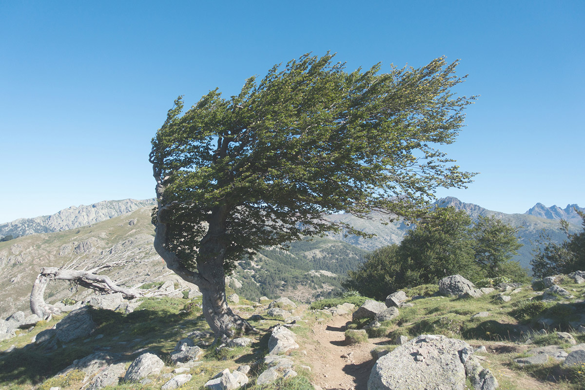 GR20 – Hochgebirgswanderweg auf Korsika