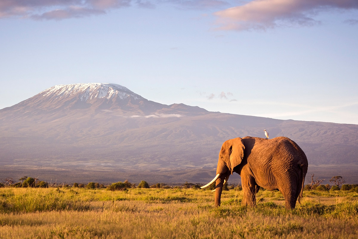 Lemosho-Route auf den Kilimanjaro